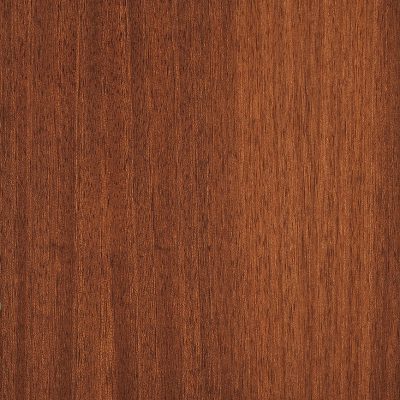 HARD WOOD 187 2022 03 10 hh8