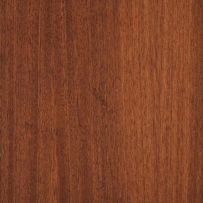 HARD WOOD 187 2022 03 10 hh8